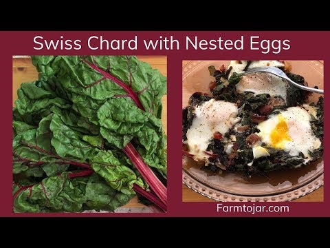 Sauteed Greens - Swiss Chard with Eggs