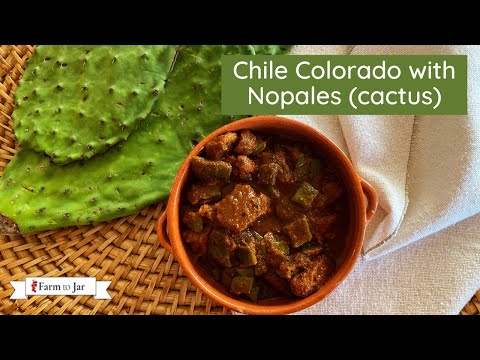 Chile Colorado with Cactus (Nopales)