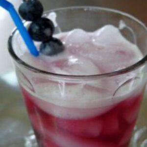 Blueberry Tarragon shrub syrup in an Italian soda