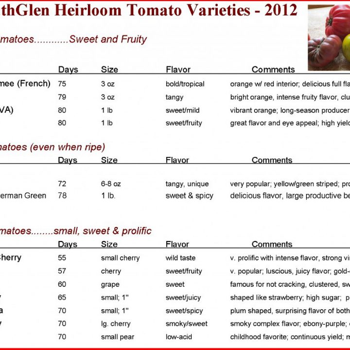 Comparing Heirloom Tomato Varieties Growth Characteristics