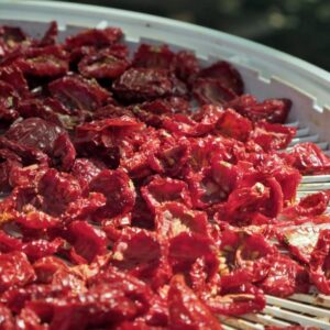 Principe Borghese tomatoes drying in a dehydrator