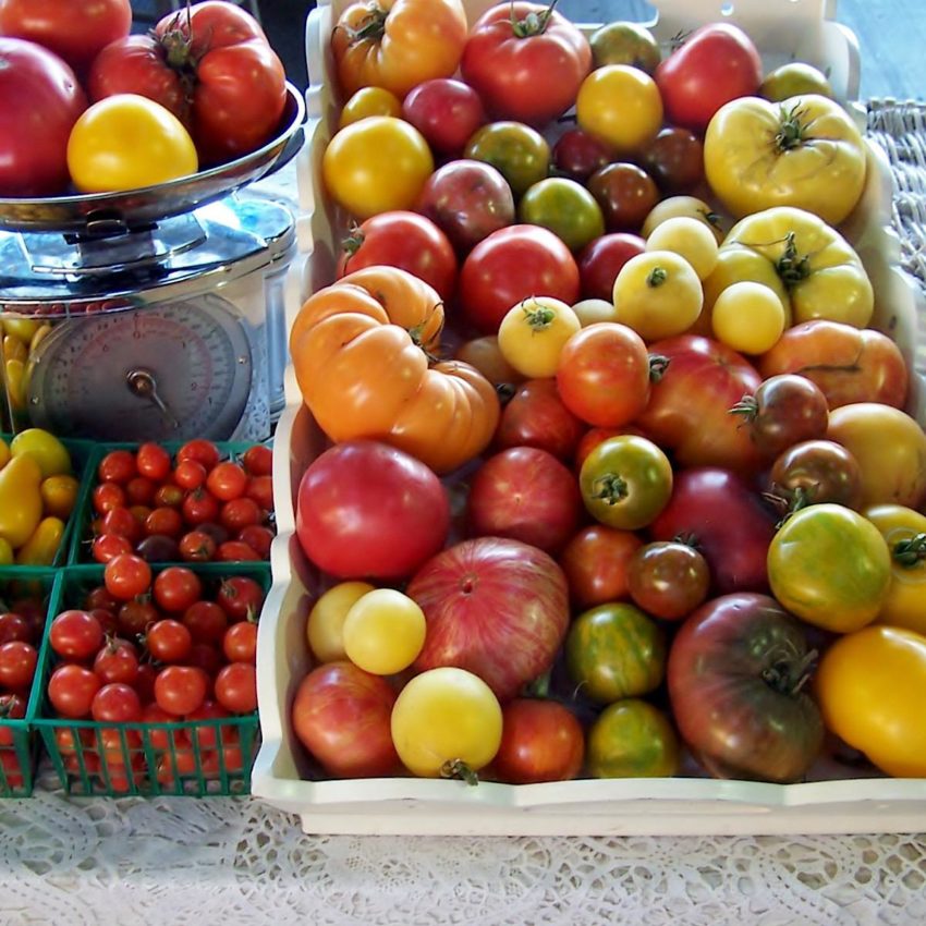 Baskets of heirloom tomatoes at the farmers market