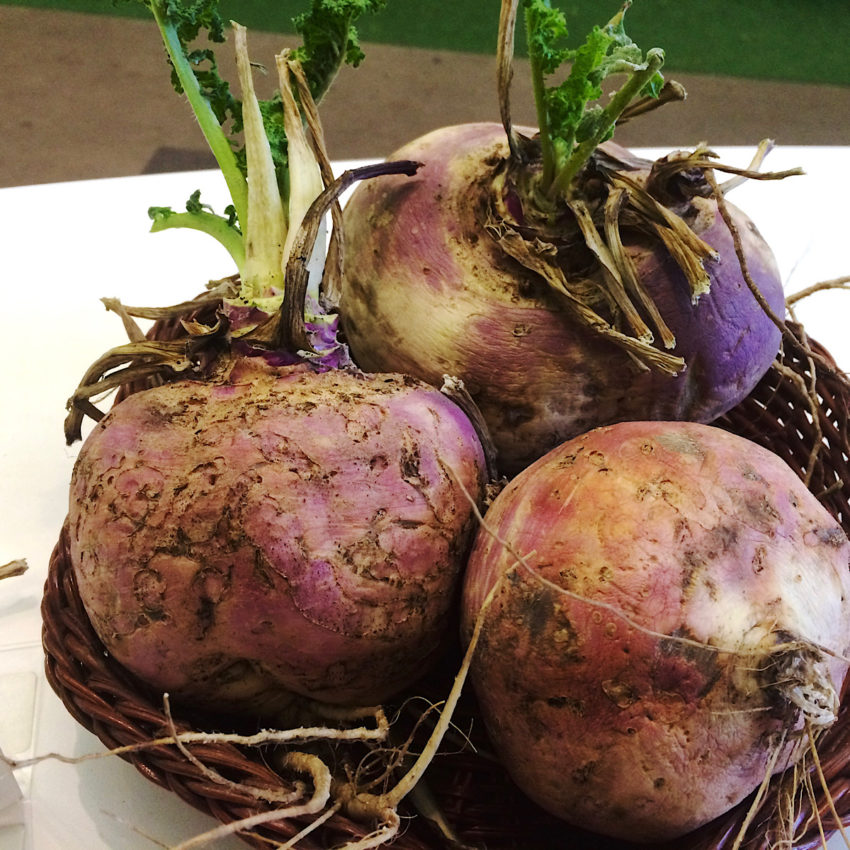 3 beets from display at Minnesota state fair.