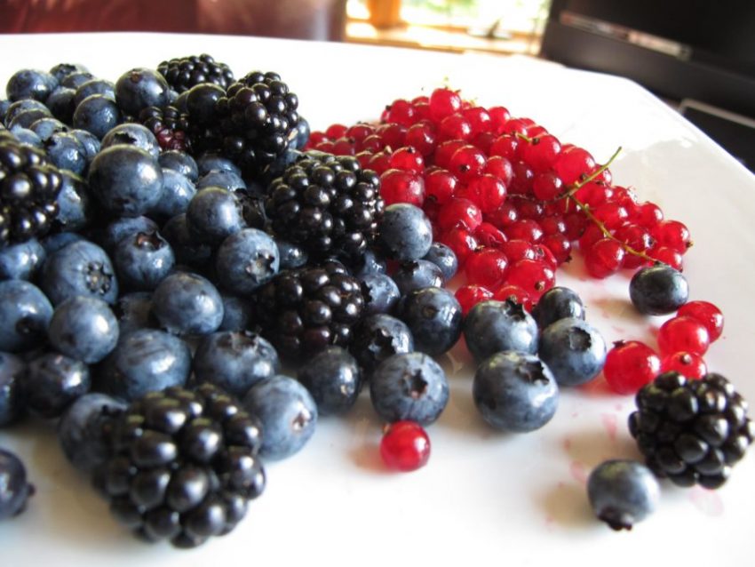 Berries used in English Summer Pudding