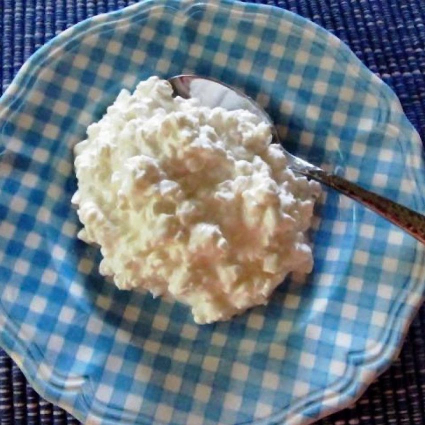 Full fat cottage cheese for a slow carb diet