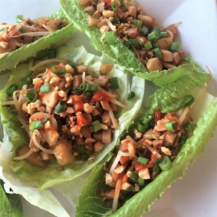 Low Carb Lettuce Wrap – Asian Chicken Style