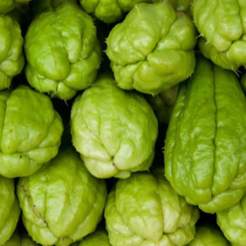 A pile of fresh chayote squash