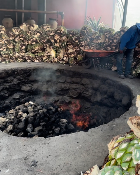 Earthen pit for  making Mezcal in Oaxaca, Mexico