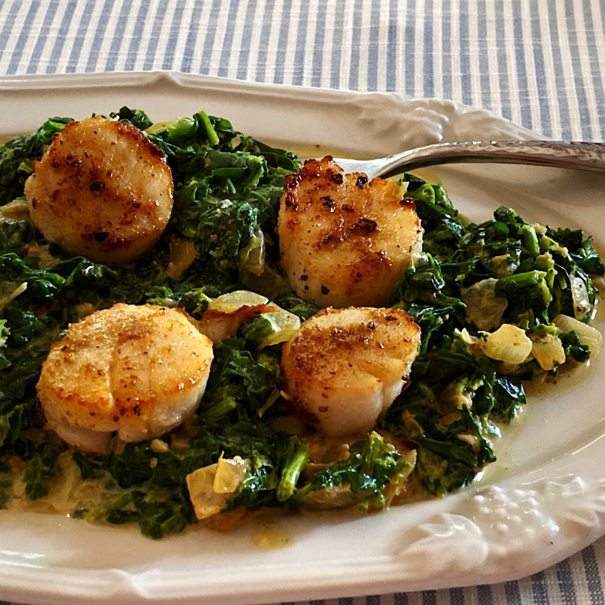 Seared scallops on a bed of creamed spinach