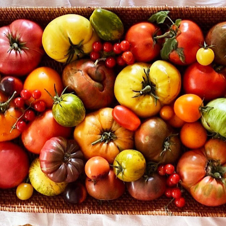 Best Tasting Heirloom Tomatoes: (sweetest to most robust)