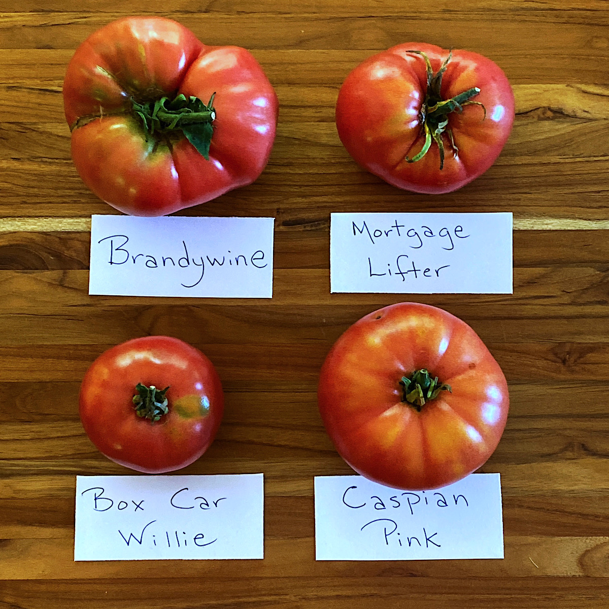 Four varieties of pink heirloom tomatoes