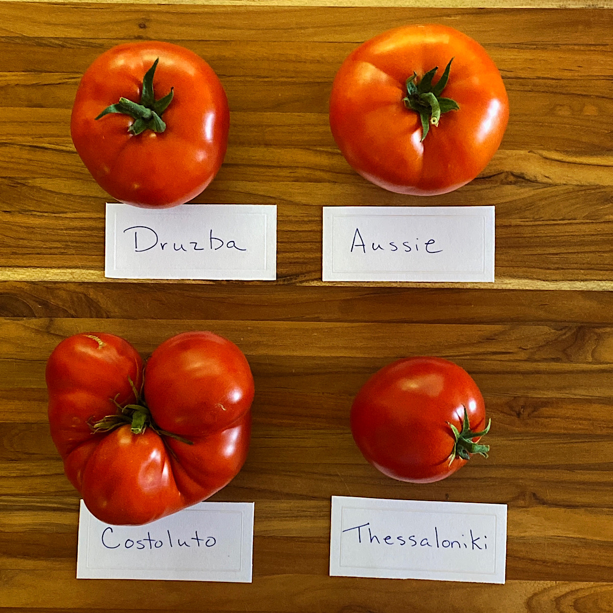 Four varieties of red heirloom tomatoes