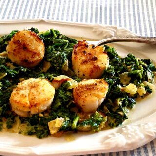 4 seared scallops on a bed of creamed spinach on a white plate
