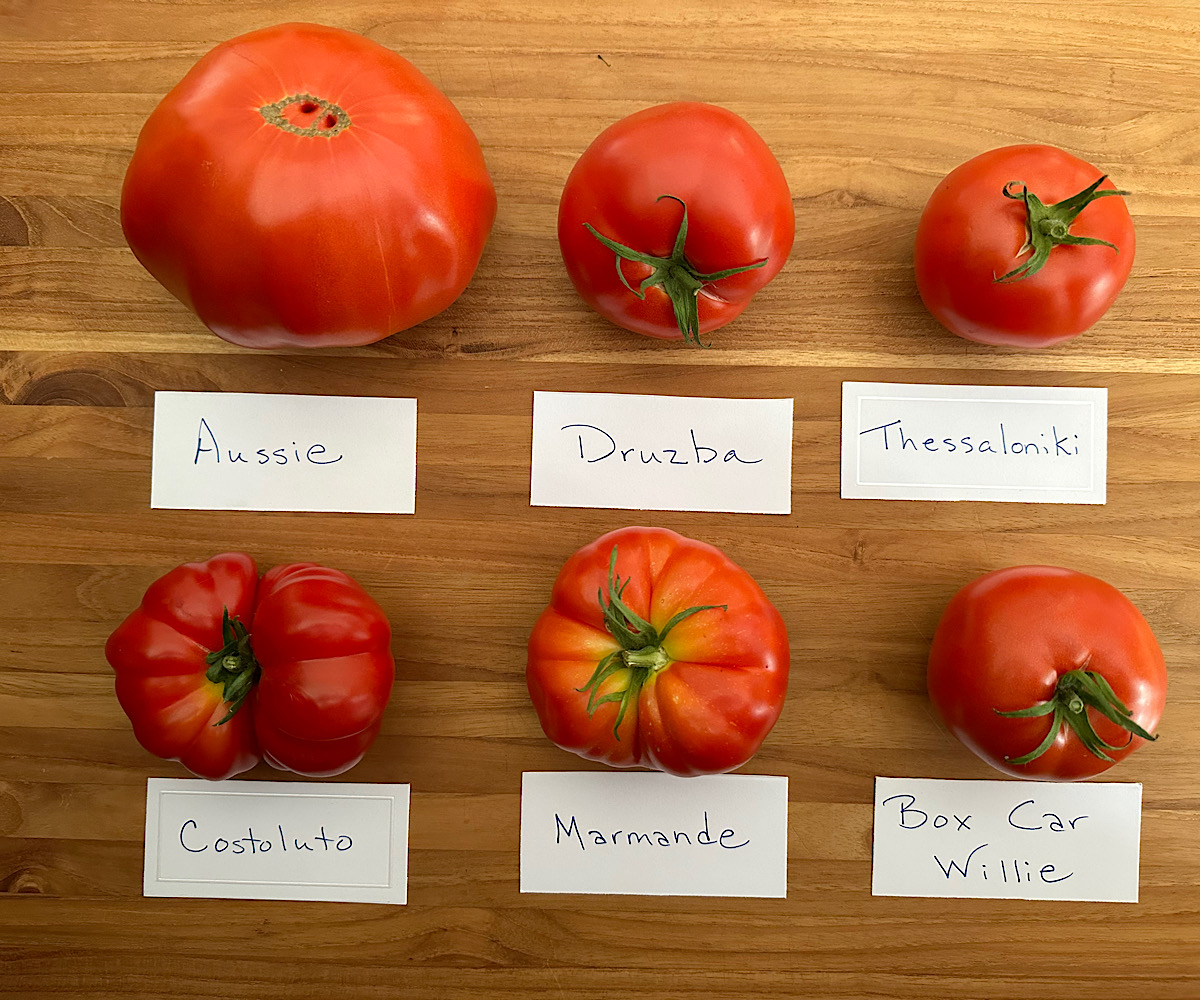 Six popular bright red heirloom tomatoes on a cutting board.