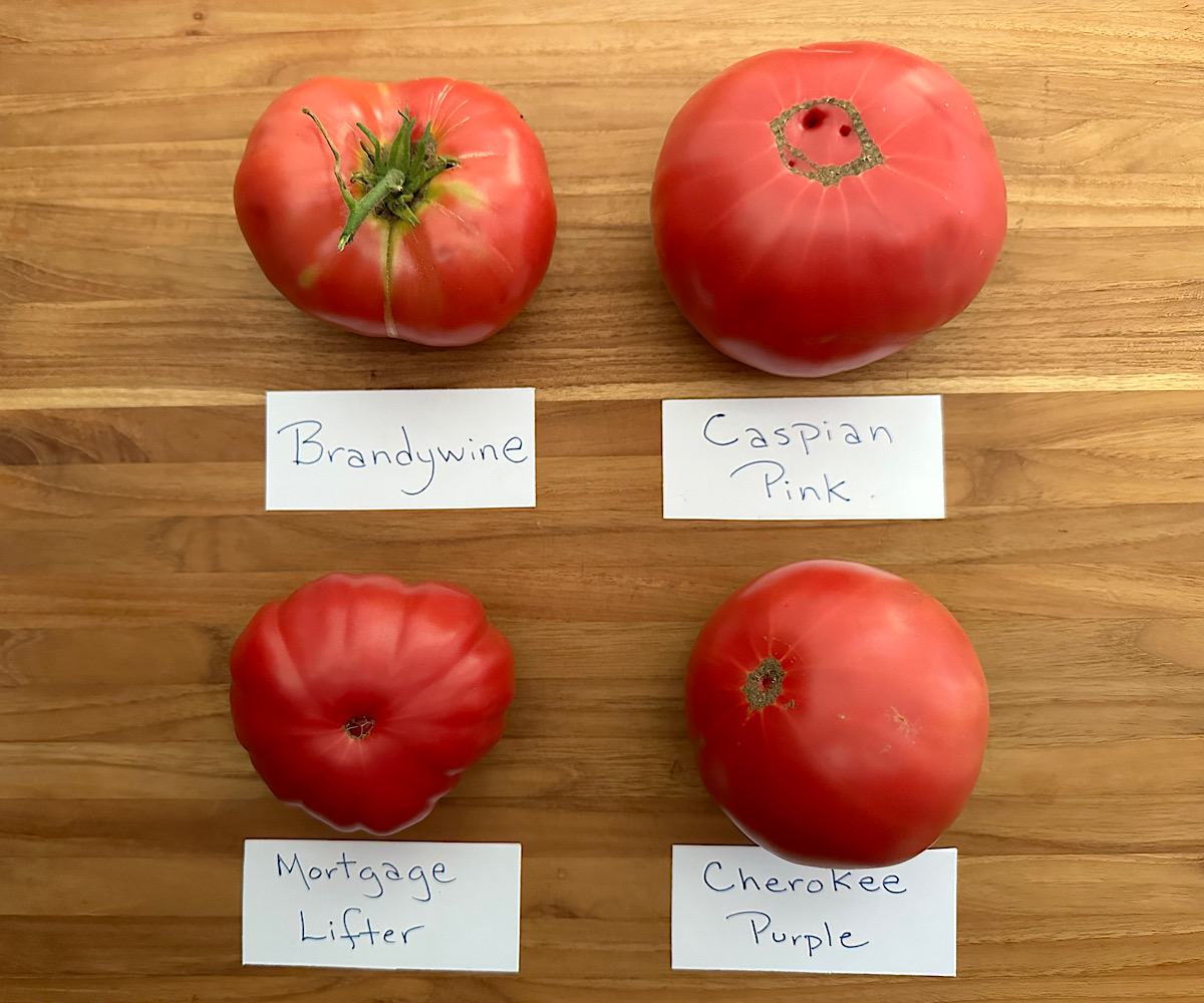 Four pink beefsteak heirloom tomatoes on a cutting board.