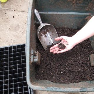 Example of how soil should clump when preparing to germinate seeds