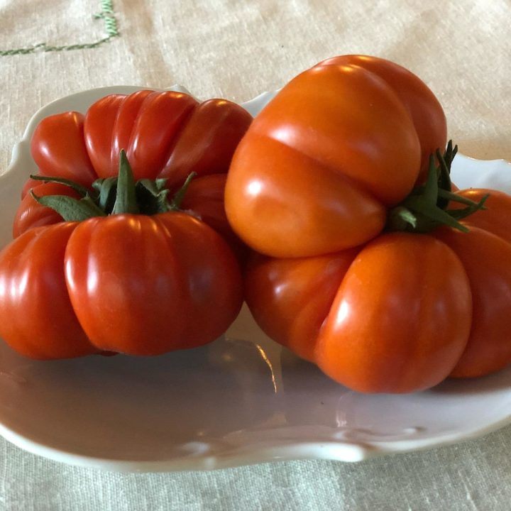 Freezing Tomatoes for Winter Dishes