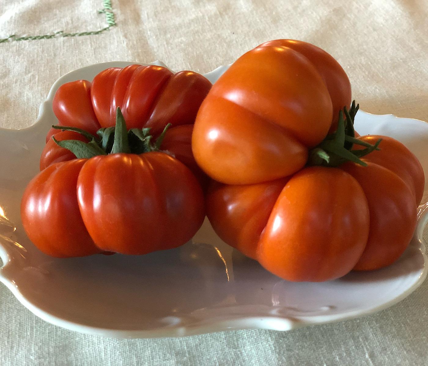 Two costoluto heirloom tomatoes on a plate