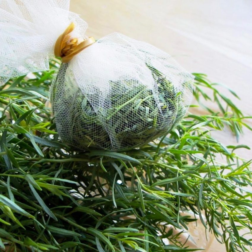Fresh tarragon wrapped in cheesecloth for use as infusion into shrub syrups