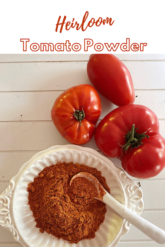 Bowl of dehydrated tomato powder and 3 heirloom tomatoes