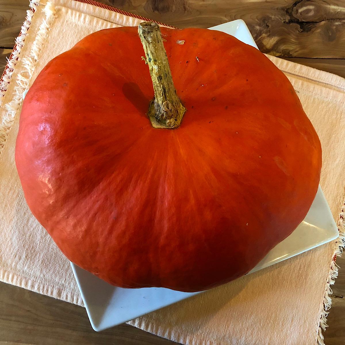 Heirloom pumpkin called Rouge d’entemps