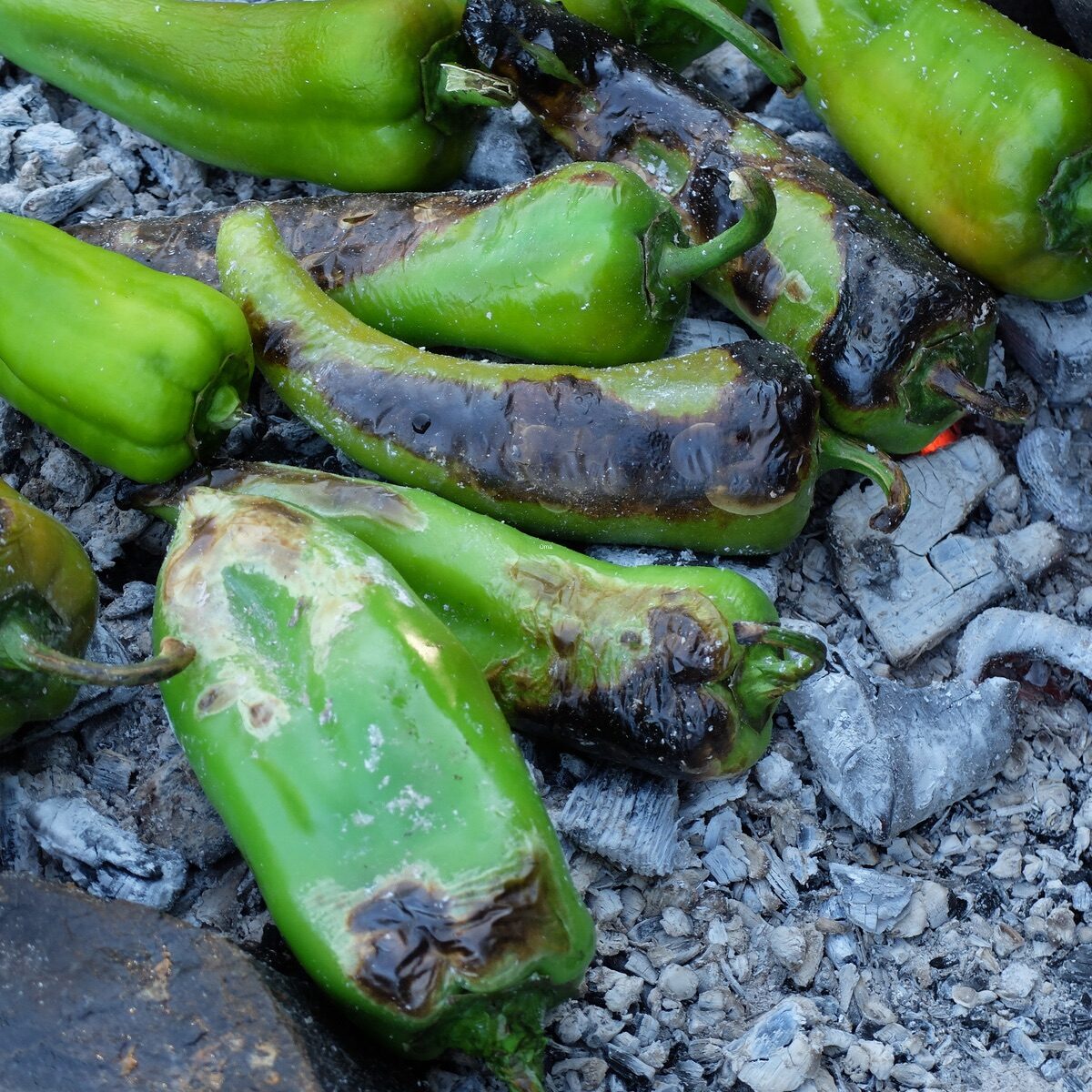 Roasted chile peppers that are charred and waiting to be peeled.