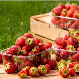 Strawberries in plastic containers on wood crates.