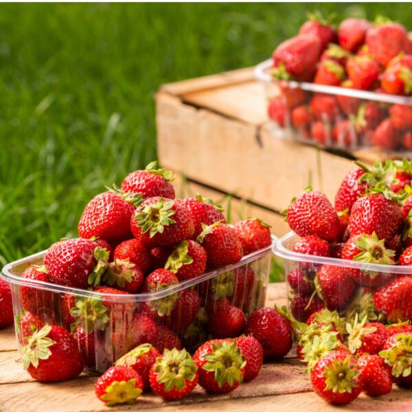 Strawberries in plastic containers on wood crates.