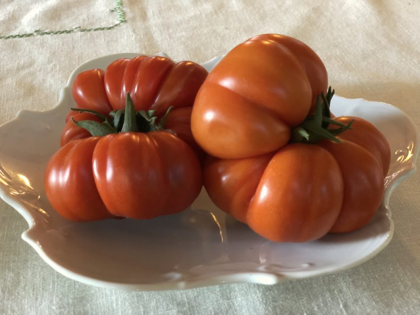 Heirloom Costoluto tomatoes on a white plate