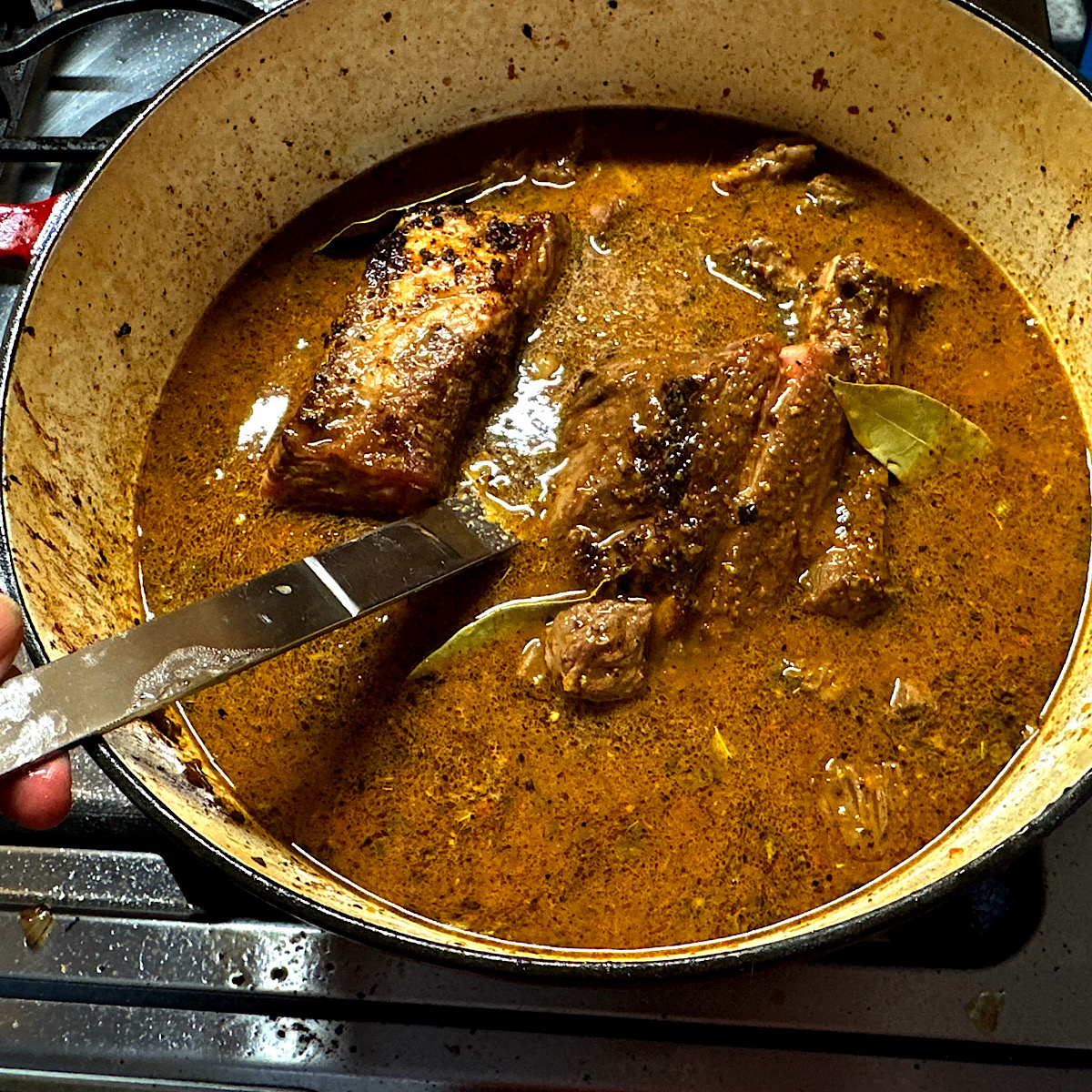 Chuck roast and short ribs simmering in a dutch oven with a Mexican birria consommé. 