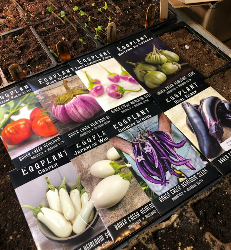 Seed packets showing heirloom eggplant varieties