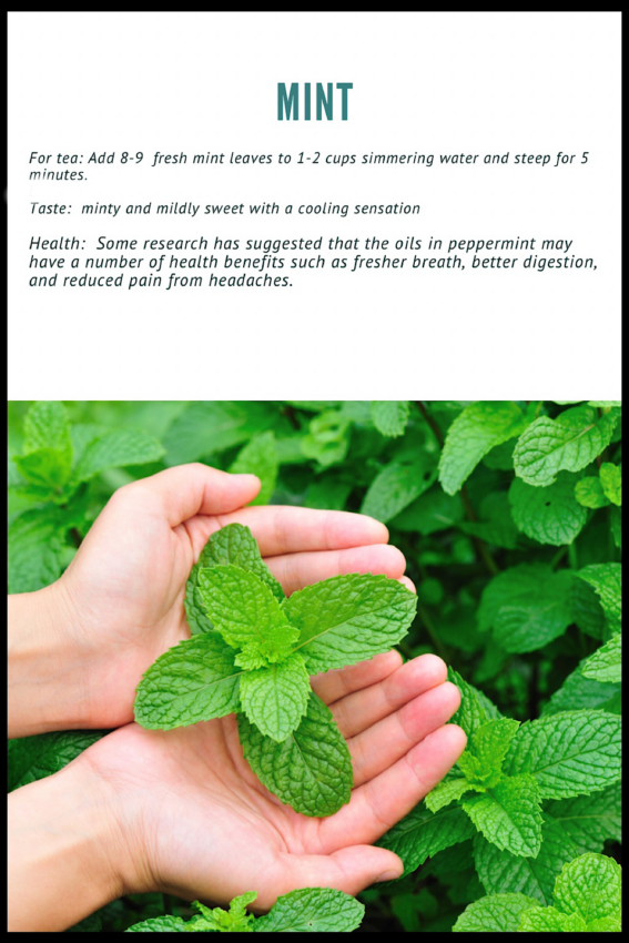 Peppermint leaves for use in herbal mint tea.