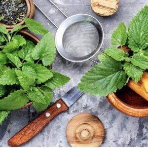 Some tools & ingredients for blending mint teas.