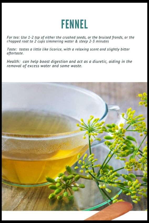 Fennel seeds and fronds used in herbal tea