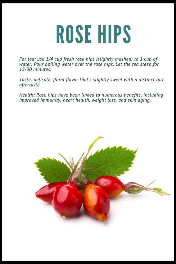 Infographic on rose hips for tea.