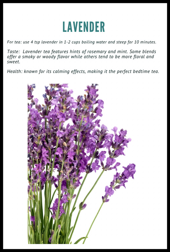 Lavender flowers to be used in making herbal tea.