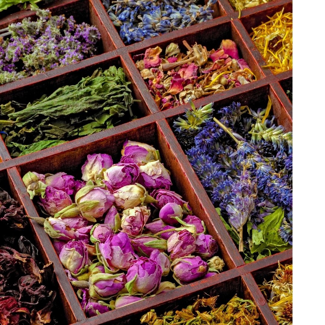Array of herbs & flowers to use in herbal teas.