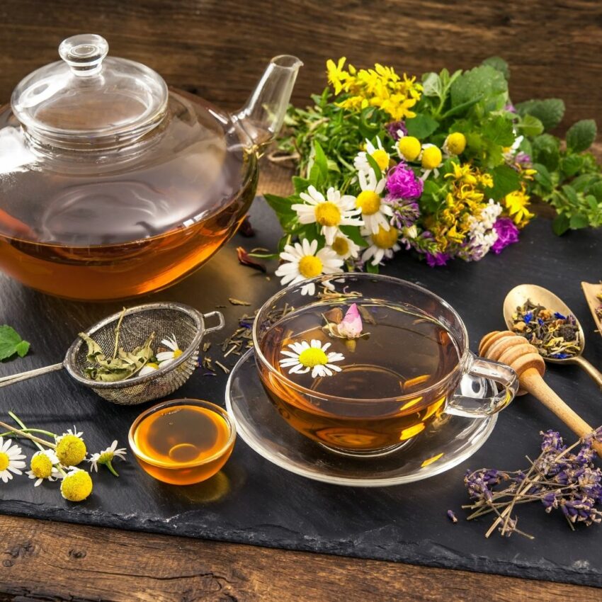 Various Dried Plants for Making Perfect Tea Stock Photo - Image of