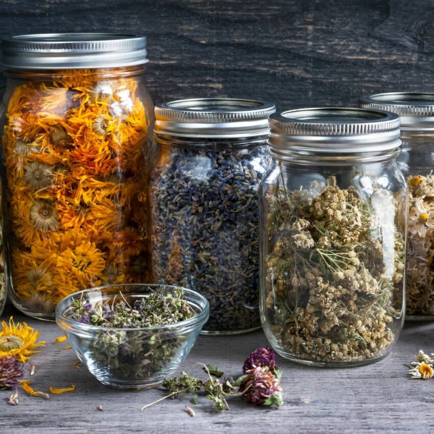 Spice Glass Jar, empty  Little Woods Herbal: Tea Blends and Bulk Herbs