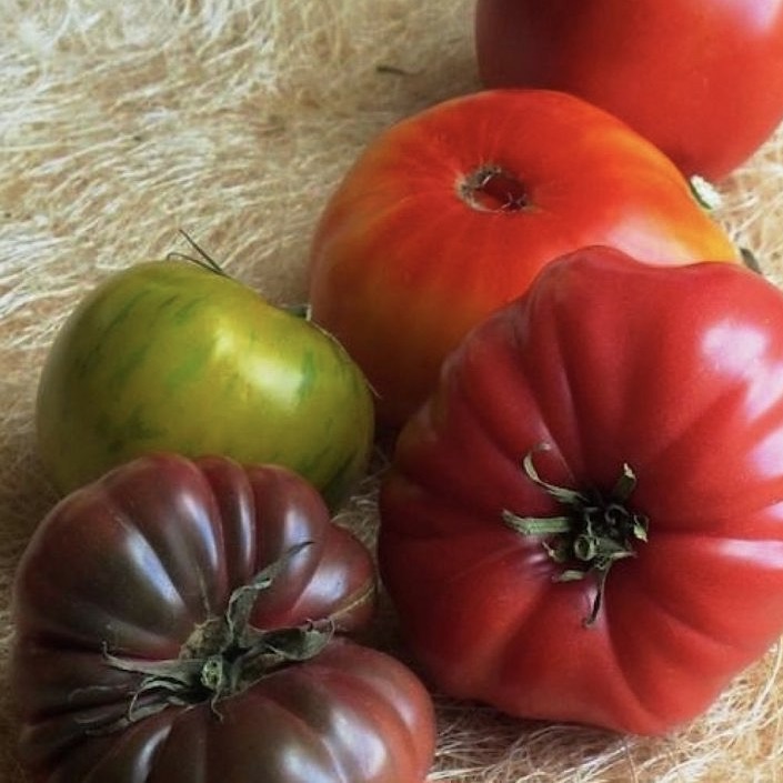 5 different heirloom tomatoes laid out in a line on burlap.