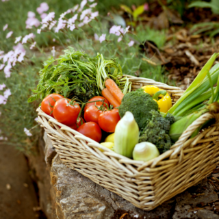 Basket of fresh vegetables from the garden.