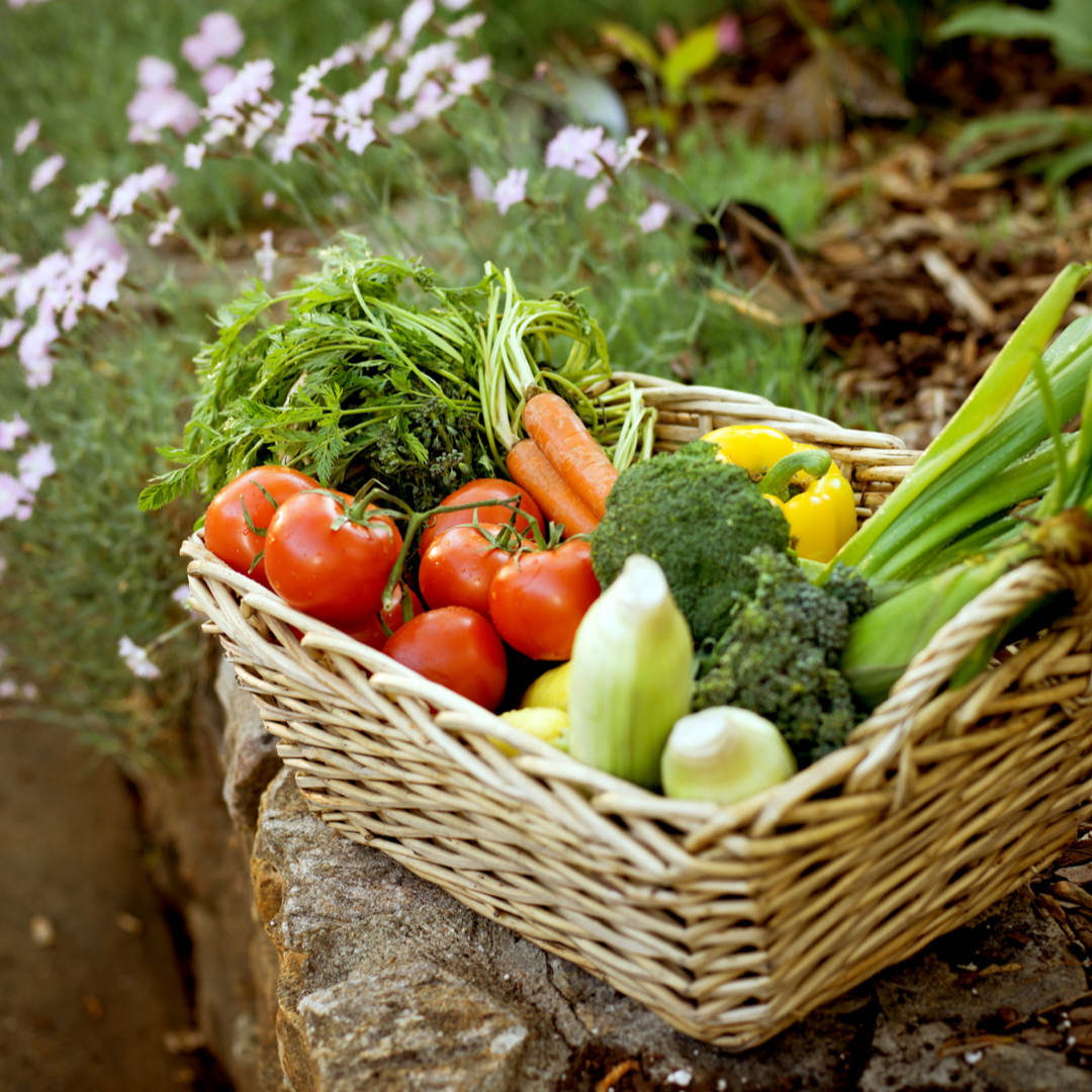 The 6 most cost-effective vegetables to grow in your garden