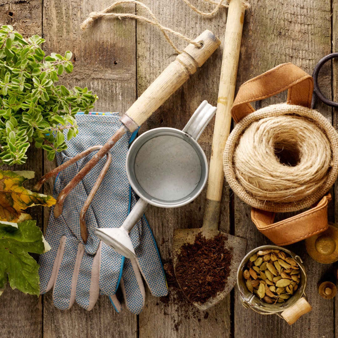 An array of gardening equipment.