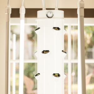 Commercial indoor gardening system.