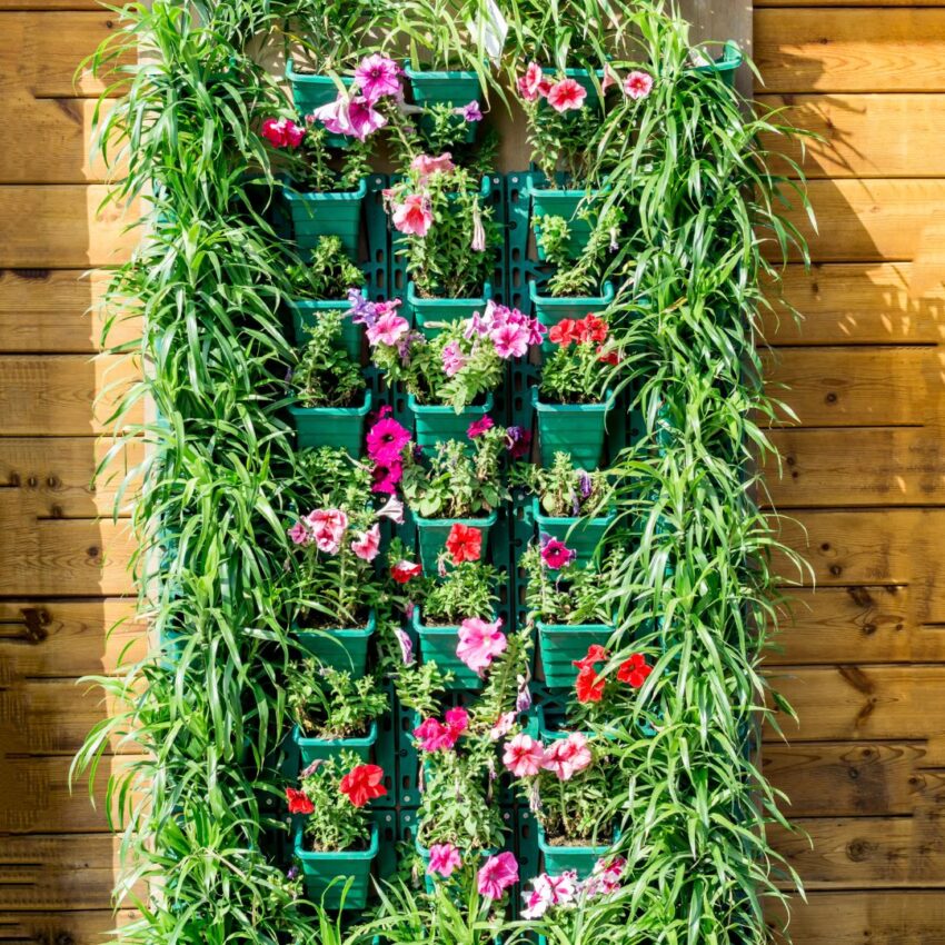 DIY vertical garden wall.