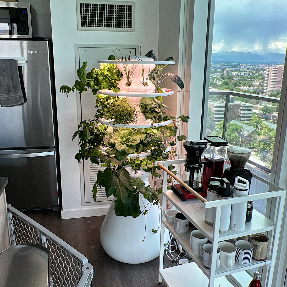 Indoor hydroponic gardening system