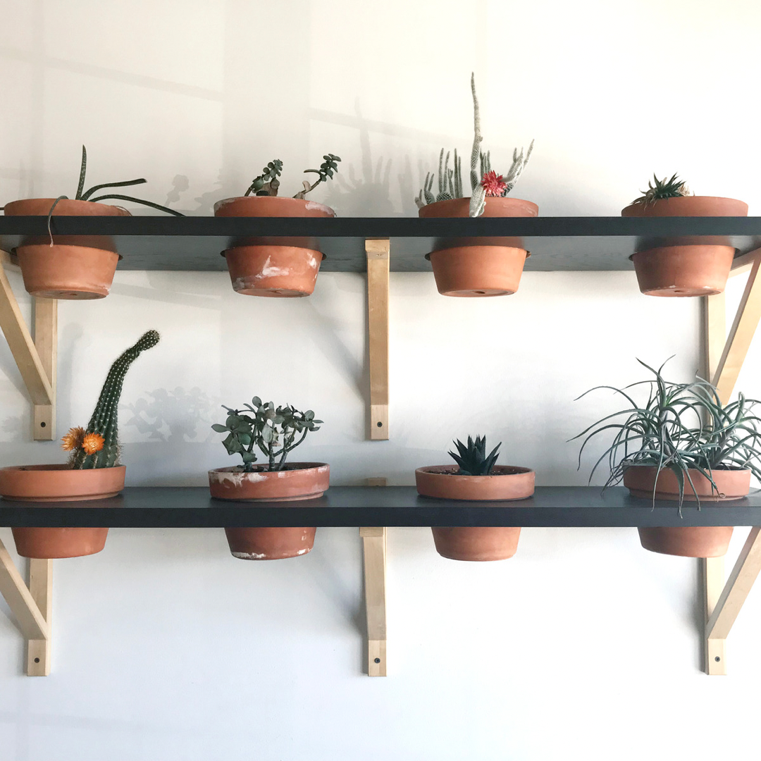 DIY vertical indoor gardening. - Jardinería vertical interior: una guía para principiantes