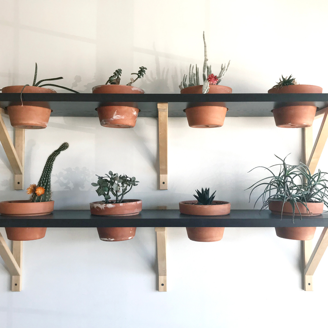 Indoor Gardening Systems: Endless Plant Possibilities