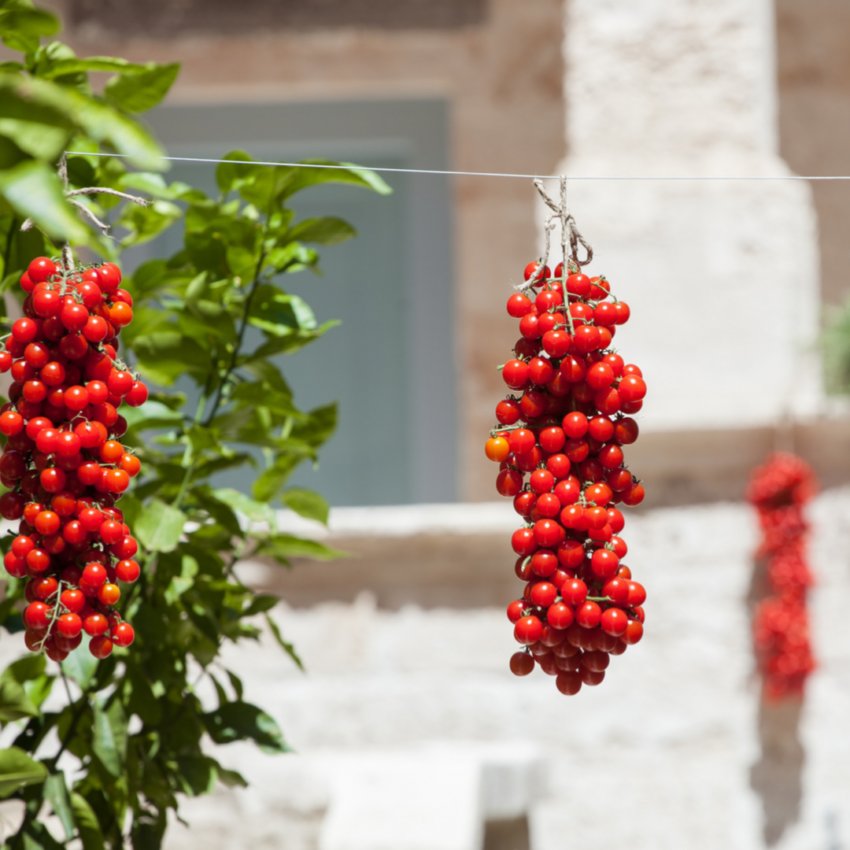 Grappoli heirloom tomato hanging out to dry.