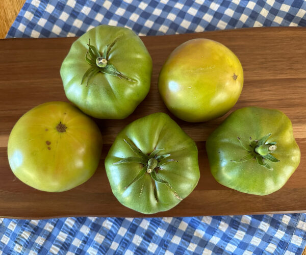 5 varieties of heirloom green tomatoes on a board.